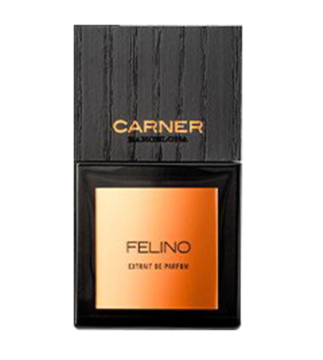 CARNER BARCELONA FELINO