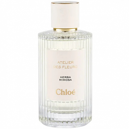 CHLOE ATELIER DES FLEURS HERBA MIMOSA