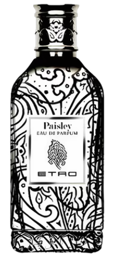 ETRO PAISLEY