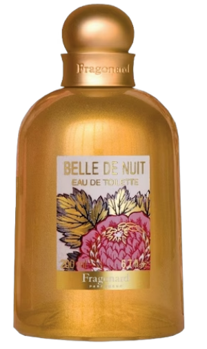 FRAGONARD BELLE DE NUIT
