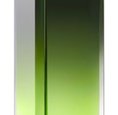 GIVENCHY VERY IRRESISTIBLE POUR HOMME