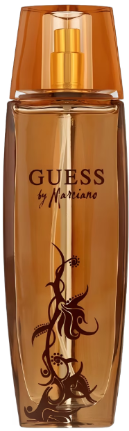 GUESS BY MARCIANO