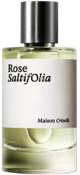 MAISON CRIVELLI ROSE SALTIFOLIA