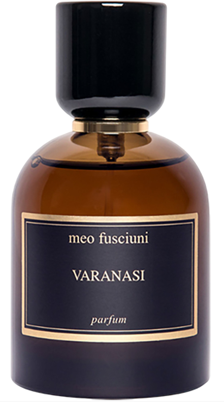MEO FUSCIUNI VARANASI