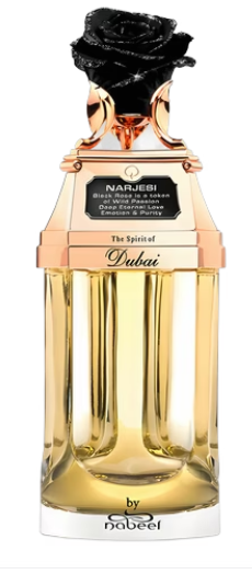 THE SPIRIT OF DUBAI NARJESI