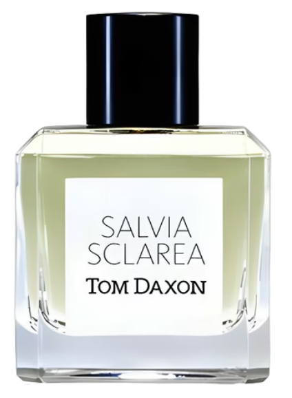 TOM DAXON SALVIA SCLAREA