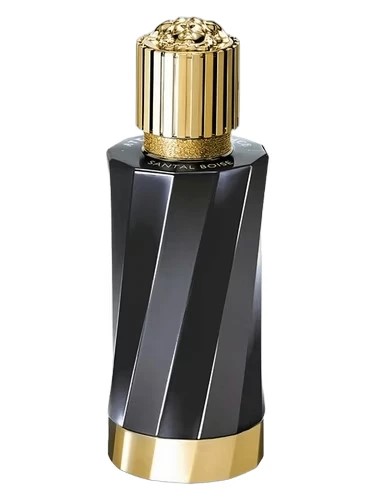VERSACE SANTAL BOISE